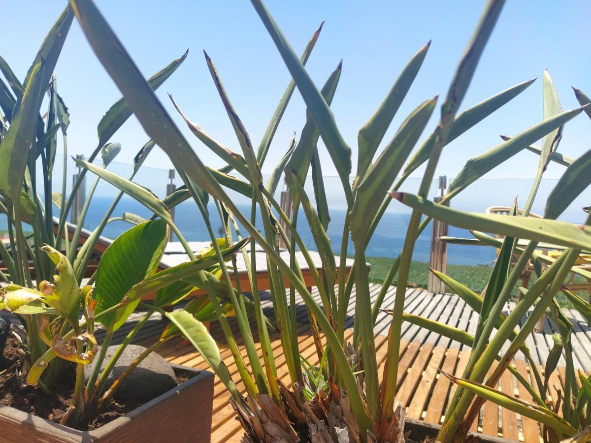 Penthouse La Palmita - Tazacorte, La Palma מראה חיצוני תמונה